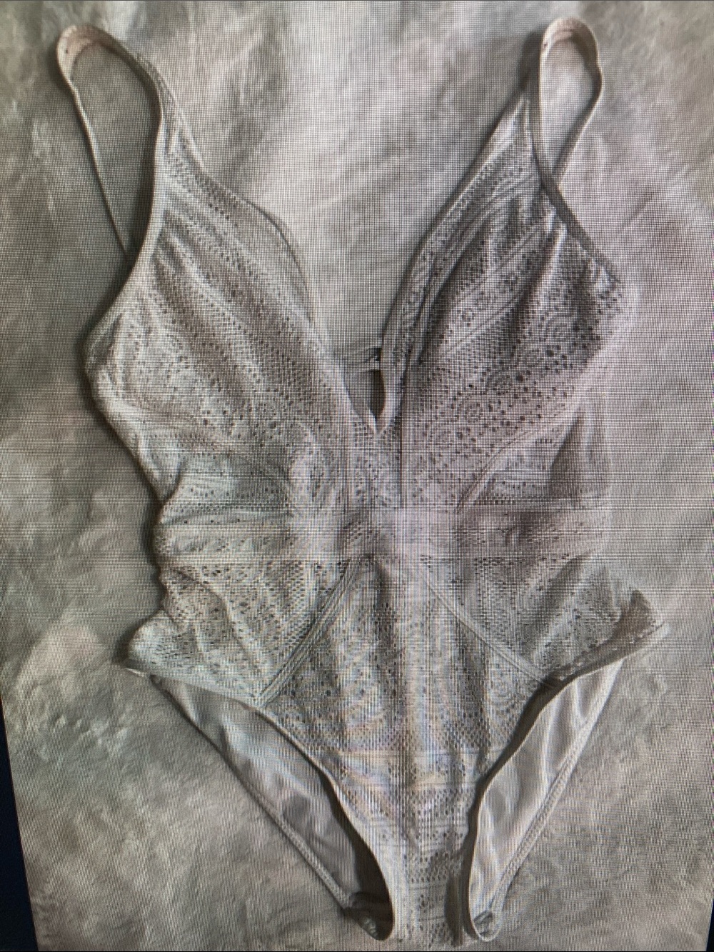 Lace Plunge One-Piece Swimsuit in Light Gray